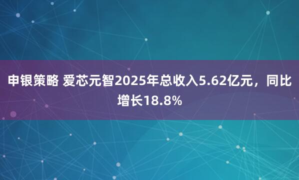 申银策略 爱芯元智2025年总收入5.62亿元，同比增长18.8%