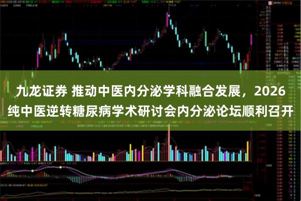 九龙证券 推动中医内分泌学科融合发展，2026纯中医逆转糖尿病学术研讨会内分泌论坛顺利召开