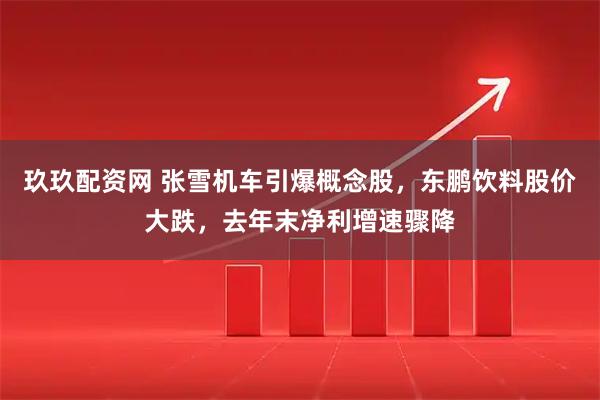 玖玖配资网 张雪机车引爆概念股，东鹏饮料股价大跌，去年末净利增速骤降
