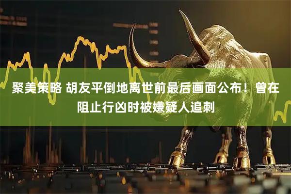 聚美策略 胡友平倒地离世前最后画面公布！曾在阻止行凶时被嫌疑人追刺