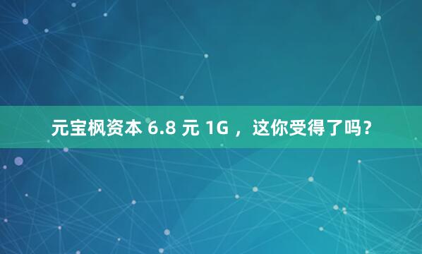 元宝枫资本 6.8 元 1G ，这你受得了吗？